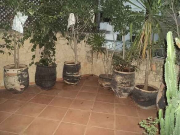 LOCATION-APPARTEMENT-MEUBLE-SUR-RACINE