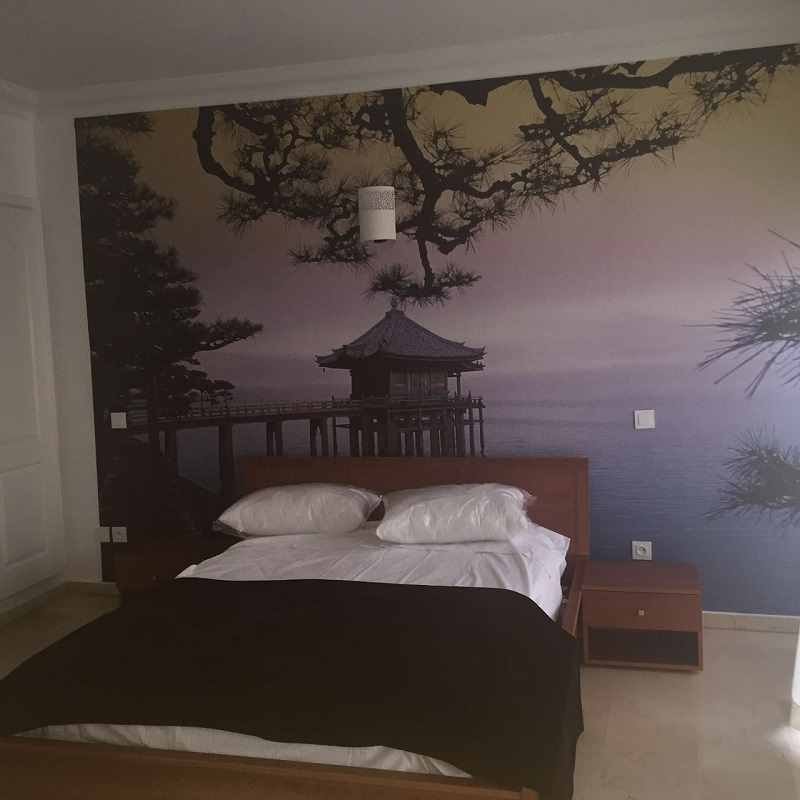 Studio-meublé-en-location-sur-racine-Ext.